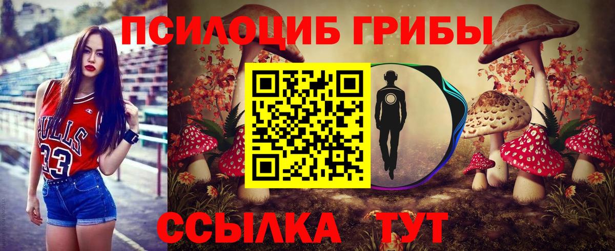 Алапаевск  Галлюциногенные грибы Psilocybine cubensis  Псилоцибиновые грибы Psilocybe  Вход с VPN 